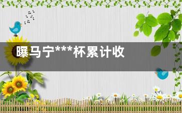 曝马宁***杯累计收入8.5万美元 本次***杯每名裁判的基本工资为70000美元